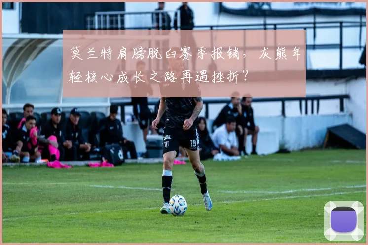 莫兰特肩膀脱臼赛季报销,灰熊年轻核心成长之路再遇挫折?